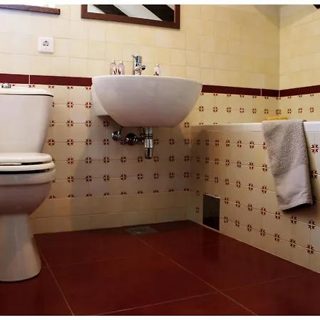 Kate فيلة Vrsine